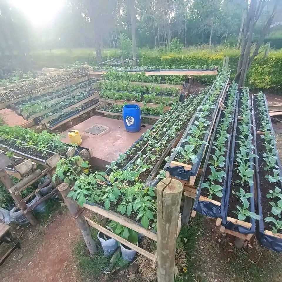 Sustainable Farming Practices